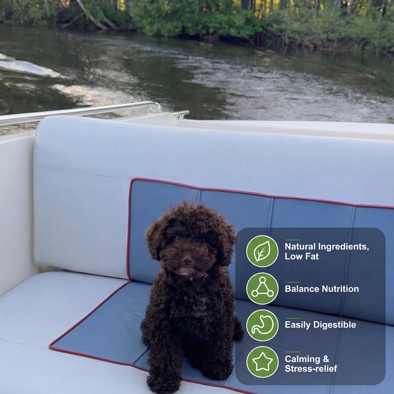 Podis CalmBites (10st)